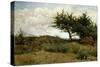 Plain in Castiglioncello-Luigi Bechi-Stretched Canvas