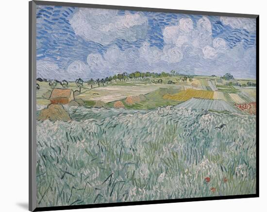 Plain Near Auvers, 1890-Vincent van Gogh-Mounted Giclee Print