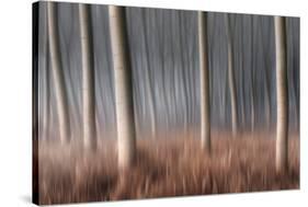 Plain Piedmont, Piedmont, Italy. Autumn Abstract Poplars-ClickAlps-Stretched Canvas