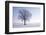Plain Piedmont, Piedmont, Italy. Hoar Frost Trees-ClickAlps-Framed Photographic Print