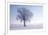 Plain Piedmont, Piedmont, Italy. Hoar Frost Trees-ClickAlps-Framed Photographic Print