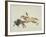 Plains Indian Equipment for the Buffalo Hunt-Kills Two-Framed Giclee Print