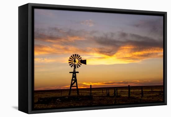 Plains Windmill-Dan Ballard-Framed Stretched Canvas