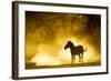 Plains Zebra at Sunset, Moremi Game Reserve, Botswana-Paul Souders-Framed Photographic Print