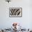 Plains Zebra (Equua Quagga Burchelli) Stripe Pattern Detail Showing Shadow Stripe-Ann and Steve Toon-Framed Photographic Print displayed on a wall