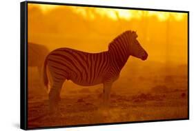 Plains Zebra, Makgadikgadi Pans National Park, Botswana-Paul Souders-Framed Stretched Canvas