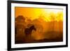 Plains Zebra, Makgadikgadi Pans National Park, Botswana-Paul Souders-Framed Photographic Print