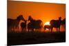 Plains Zebra, Makgadikgadi Pans National Park, Botswana-Paul Souders-Mounted Photographic Print