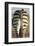 Plains Zebra, Moremi Game Reserve, Botswana-Paul Souders-Framed Photographic Print