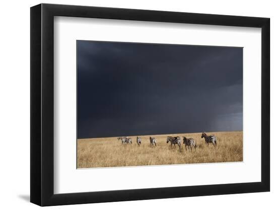 Premium Photographic Print, , large
