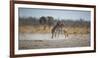 Plains Zebras, Equus Quagga, Fighting, with an Elephant in the Background-Alex Saberi-Framed Photographic Print