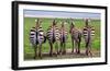 Plains Zebras, Tanzania-Art Wolfe-Framed Giclee Print