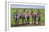 Plains Zebras, Tanzania-Art Wolfe-Framed Giclee Print