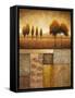 Plainview I-Michael Marcon-Framed Stretched Canvas