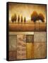 Plainview I-Michael Marcon-Framed Stretched Canvas