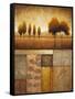 Plainview I-Michael Marcon-Framed Stretched Canvas