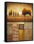 Plainview I-Michael Marcon-Framed Stretched Canvas
