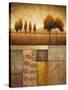 Plainview I-Michael Marcon-Stretched Canvas