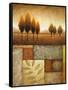 Plainview II (Marcon Trees)-Michael Marcon-Framed Stretched Canvas