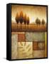 Plainview II (Marcon Trees)-Michael Marcon-Framed Stretched Canvas