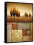 Plainview II (Marcon Trees)-Michael Marcon-Framed Stretched Canvas