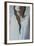 Plaited Hair of Female-Carolina Hernandez-Framed Photographic Print