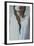 Plaited Hair of Female-Carolina Hernandez-Framed Photographic Print