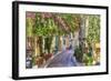 Plaka Area by Acropolis Athens-null-Framed Art Print