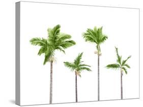 Plam Trees Isolated on White Background-rodho-Stretched Canvas