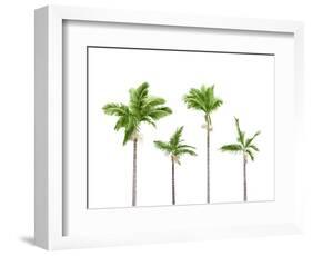 Plam Trees Isolated on White Background-rodho-Framed Photographic Print