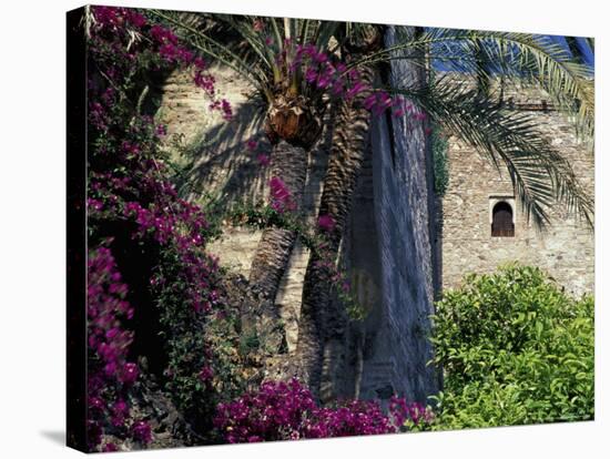 Plams, Flowers and Ramparts of Alcazaba, Malaga, Spain-Merrill Images-Stretched Canvas