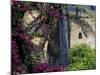 Plams, Flowers and Ramparts of Alcazaba, Malaga, Spain-Merrill Images-Mounted Photographic Print