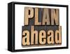 Plan Ahead-PixelsAway-Framed Stretched Canvas