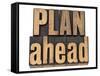 Plan Ahead-PixelsAway-Framed Stretched Canvas