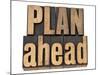 Plan Ahead-PixelsAway-Mounted Art Print