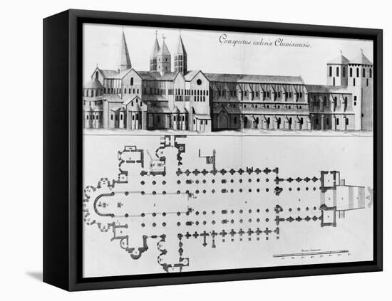 Plan and Elevation of Cluny Abbey-Pierre Giffart-Framed Stretched Canvas