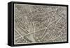 Plan de Paris (1734-1739) dit plan de Turgot, La Seine, le Pont-Neuf, l'île de la Cité, Notre-Dame-null-Framed Stretched Canvas