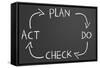 Plan Do Check Act Cycle-IJdema-Framed Stretched Canvas