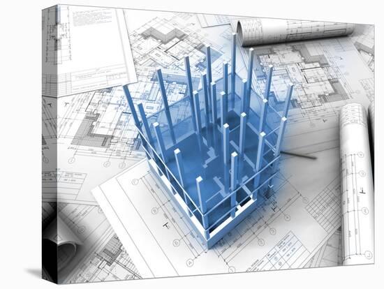 Plan Drawing-ArchMan-Stretched Canvas