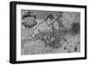 Plan of Boston, New England, 1739-null-Framed Giclee Print