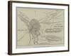 Plan of Cabul and its Approaches-null-Framed Giclee Print