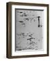 Plan of Canal Ascending Hill By Means of Locks', 1928-Leonardo Da Vinci-Framed Giclee Print