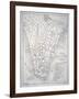 Plan of New York in 1729 (Litho)-English-Framed Giclee Print