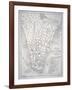 Plan of New York in 1729 (Litho)-English-Framed Giclee Print