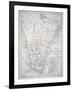 Plan of New York in 1729 (Litho)-English-Framed Giclee Print