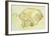 Plan of Pompeii-null-Framed Giclee Print