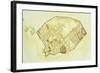 Plan of Pompeii-null-Framed Giclee Print