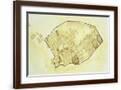 Brown Frame