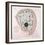 Plan of Regent's Park, London, C1822-null-Framed Giclee Print