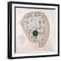 Plan of Regent's Park, London, C1822-null-Framed Giclee Print